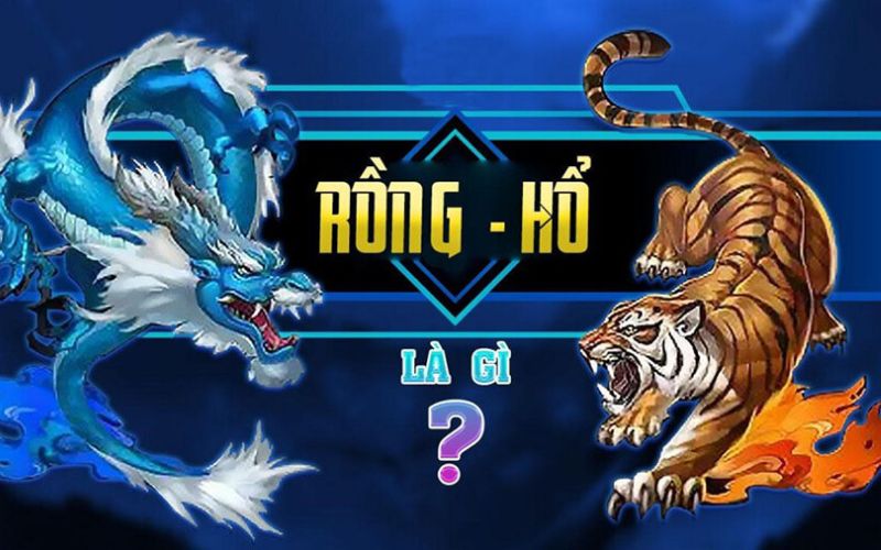 Rồng hổ là gì